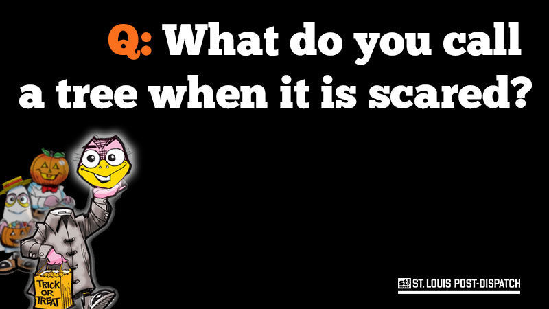 Question